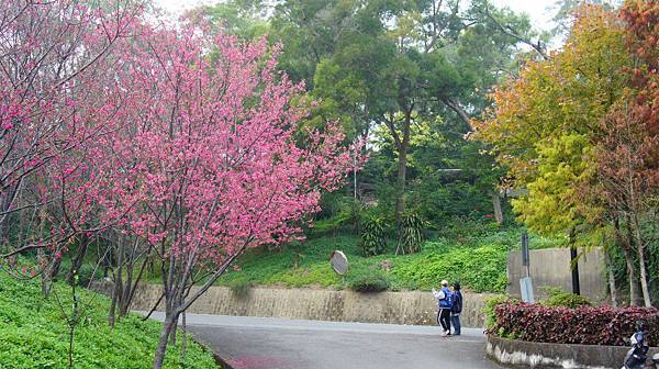 苗栗市貓貍山公園