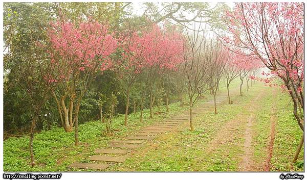 銅鑼鄉-環保公園