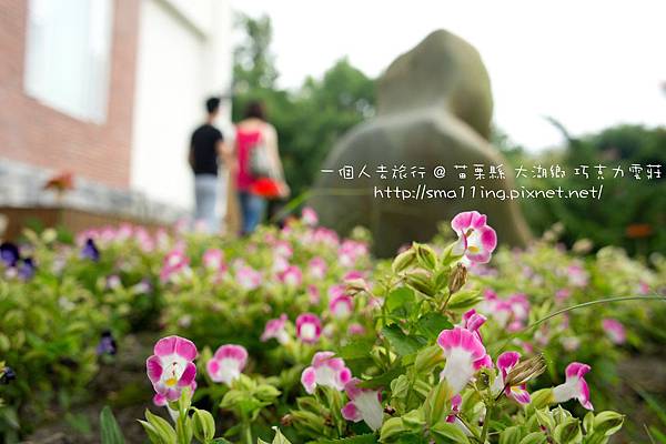 大湖鄉 巧克力雲莊 20120526