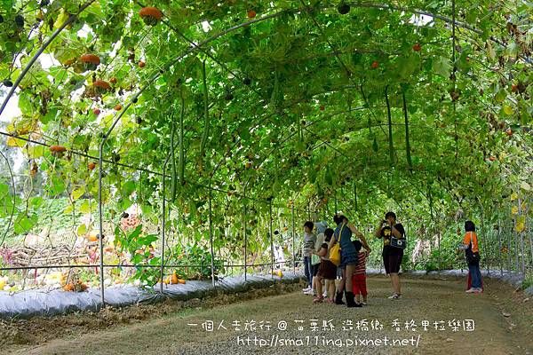 造橋鄉 香格里拉樂園 20120610