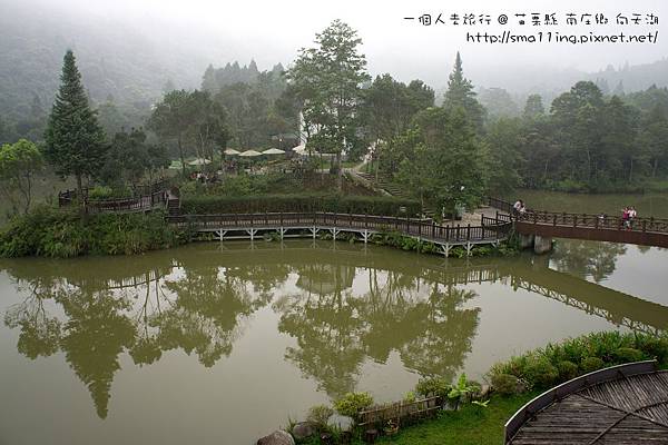 苗栗縣 南庄鄉 向天湖 (20120728)