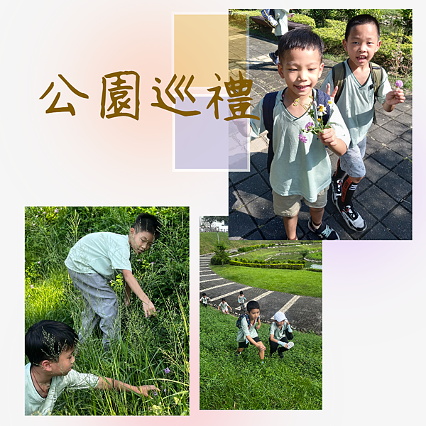 巡禮拼貼採花.png