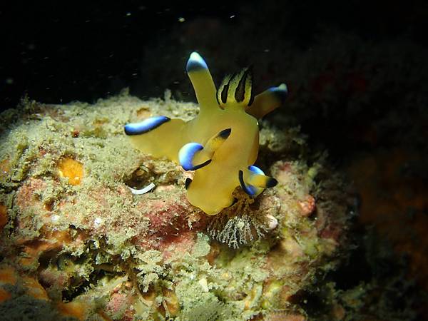 P8210039.JPG P8210039.JPG