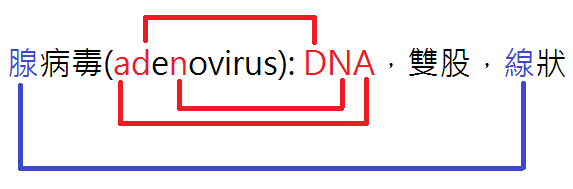 adenovirus.png