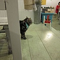 20110309-32.JPG