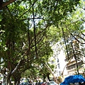 20090507-045.JPG