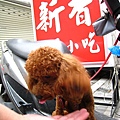 20100302-1-05.JPG