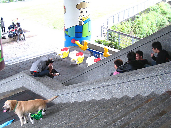 20100403-2-26