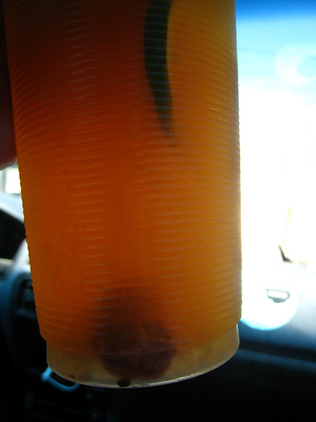 20100630-1-10.JPG