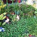 20100627-住-03.JPG