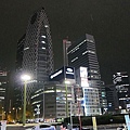 20101126-8-22.JPG