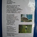 20100629-2-12.JPG