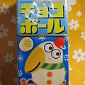 20110104-28.JPG
