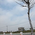 20110123-003.JPG