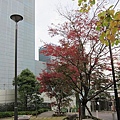 20101125-1-16.JPG