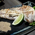 20110524-14.JPG