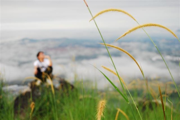 broga hill (48) (Small).JPG