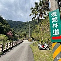 宜蘭賞櫻秘境【櫻悅景觀渡假別墅】茶園櫻花隧道，打卡免費入園｜