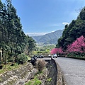 宜蘭員山【金車噶瑪蘭威士忌酒廠】在伯朗咖啡館的大面窗邊欣賞落