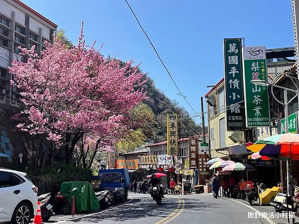 台中梨山》隱藏在高山的美味小食堂【露彎彎】 意外好吃又平價｜