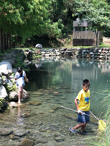 員山景點》落羽松畔的天然湧泉小綠池【羌仔連埤】在地小孩的玩水
