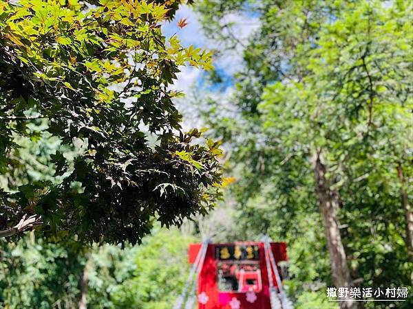 台中武陵農場》必拍新亮點【京華吊橋】【武陵吊橋】交通門票及景