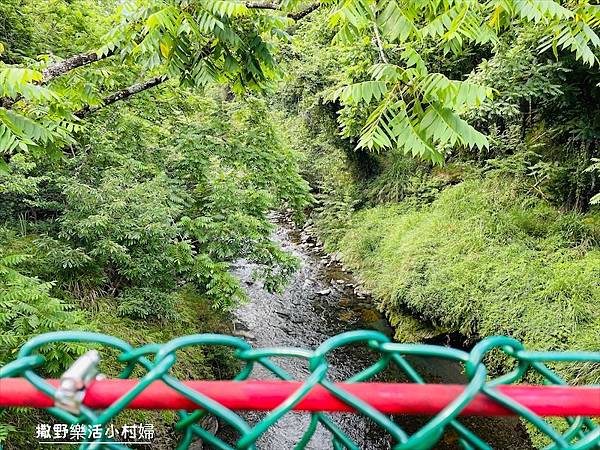 台中武陵農場》必拍新亮點【京華吊橋】【武陵吊橋】交通門票及景