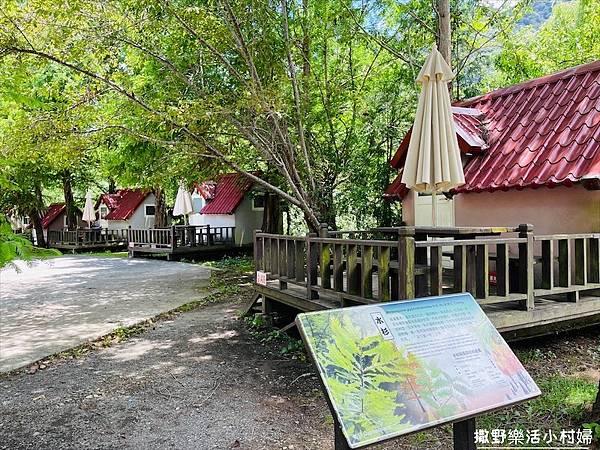 台中武陵農場》必拍新亮點【京華吊橋】【武陵吊橋】交通門票及景