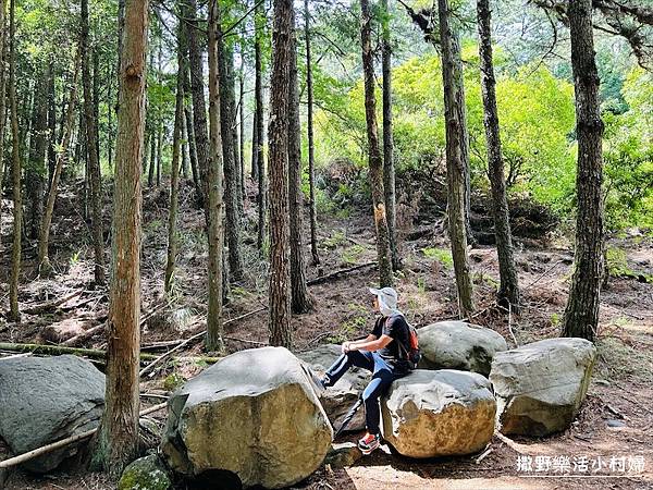 台中武陵農場》必拍新亮點【京華吊橋】【武陵吊橋】交通門票及景