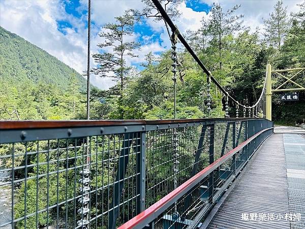 台中武陵農場》必拍新亮點【京華吊橋】【武陵吊橋】交通門票及景