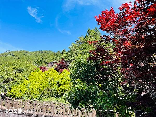 與太平山美麗的邂垢｜觀景台欣賞絕美晨曦日出，太平山莊附近景點