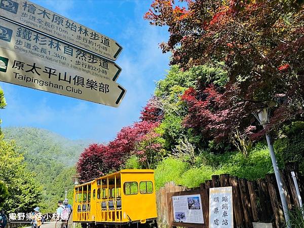 與太平山美麗的邂垢｜觀景台欣賞絕美晨曦日出，太平山莊附近景點