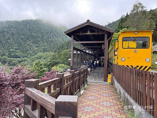 宜蘭》「太平山蹦蹦車+茂興懷舊步道」旅遊全攻略｜教你如何美拍