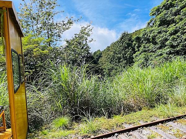 宜蘭》「太平山蹦蹦車+茂興懷舊步道」旅遊全攻略｜教你如何美拍