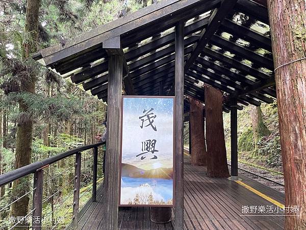 宜蘭》「太平山蹦蹦車+茂興懷舊步道」旅遊全攻略｜教你如何美拍