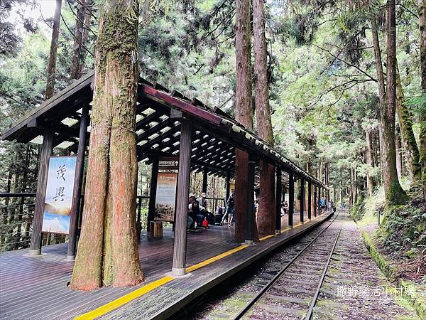 宜蘭》「太平山蹦蹦車+茂興懷舊步道」旅遊全攻略｜教你如何美拍