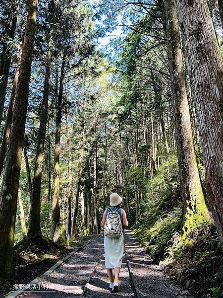 宜蘭》「太平山蹦蹦車+茂興懷舊步道」旅遊全攻略｜教你如何美拍