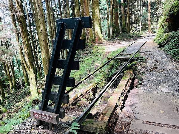 宜蘭》「太平山蹦蹦車+茂興懷舊步道」旅遊全攻略｜教你如何美拍