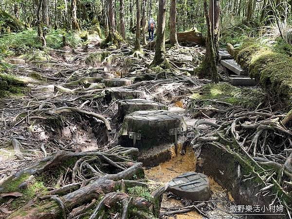 絕美高山湖泊【太平山翠峰湖】以及全球第一條寧靜步道挑戰成功，