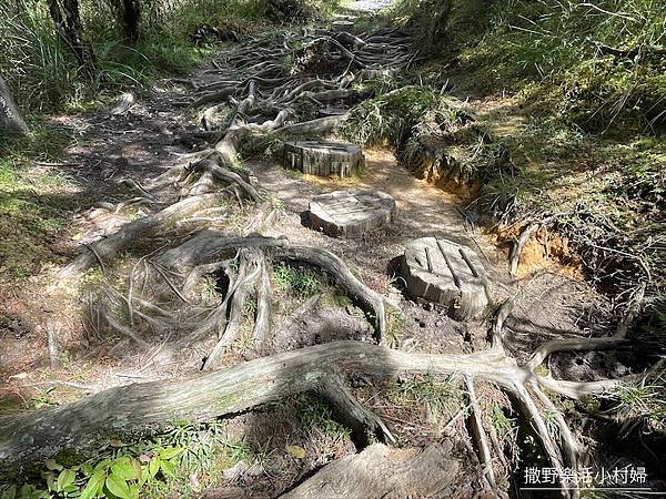 絕美高山湖泊【太平山翠峰湖】以及全球第一條寧靜步道挑戰成功，