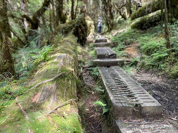 絕美高山湖泊【太平山翠峰湖】以及全球第一條寧靜步道挑戰成功，