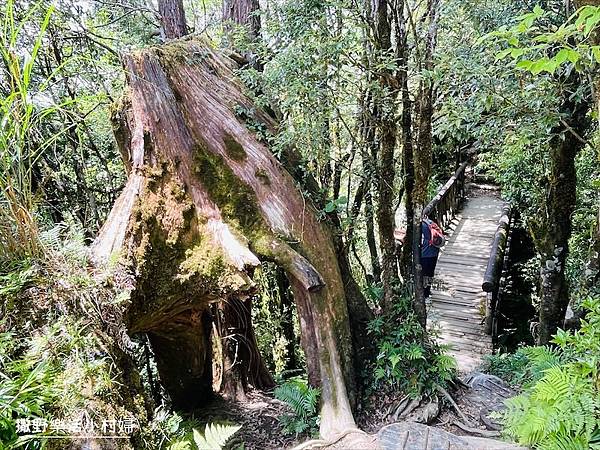 絕美高山湖泊【太平山翠峰湖】以及全球第一條寧靜步道挑戰成功，