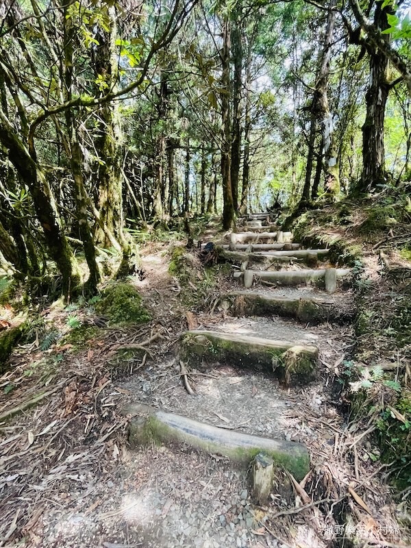 絕美高山湖泊【太平山翠峰湖】以及全球第一條寂靜山徑【翠峰湖環