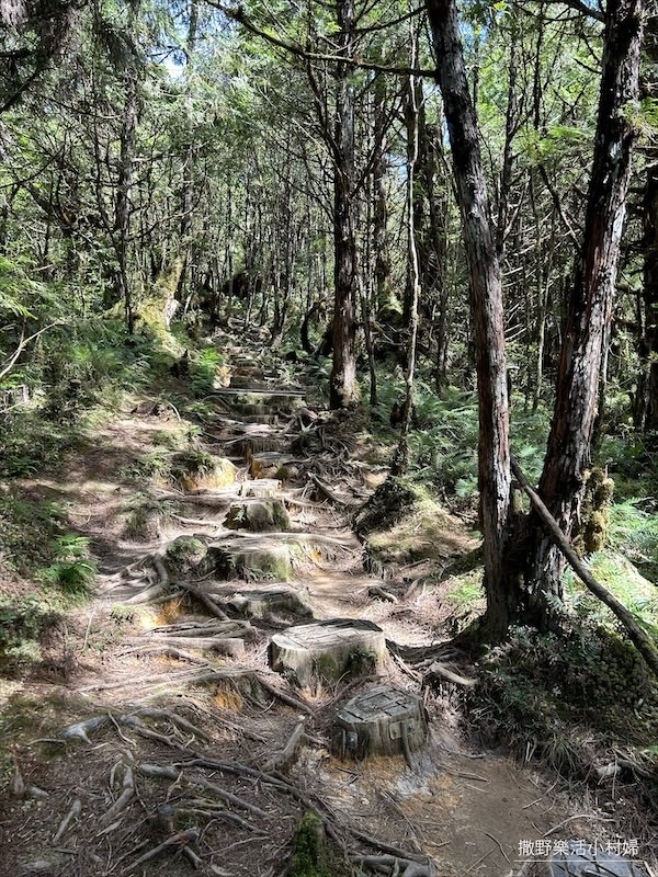 絕美高山湖泊【太平山翠峰湖】以及全球第一條寂靜山徑【翠峰湖環