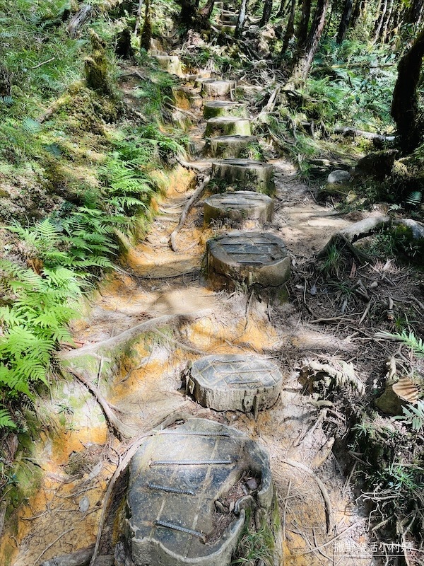 絕美高山湖泊【太平山翠峰湖】以及全球第一條寂靜山徑【翠峰湖環