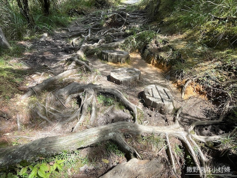 絕美高山湖泊【太平山翠峰湖】以及全球第一條寂靜山徑【翠峰湖環