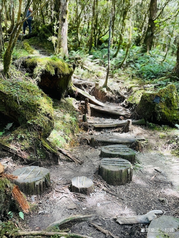 絕美高山湖泊【太平山翠峰湖】以及全球第一條寂靜山徑【翠峰湖環