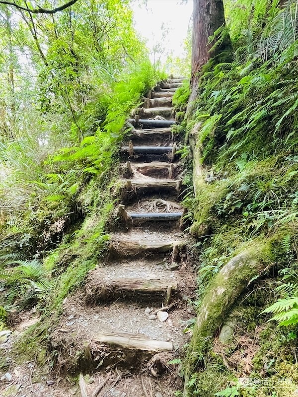 絕美高山湖泊【太平山翠峰湖】以及全球第一條寂靜山徑【翠峰湖環