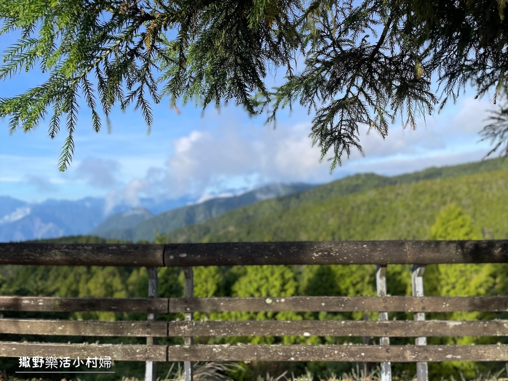 宜蘭景點》台灣山毛櫸國家步道｜走進太平山的檜木杉林裡，漫步在