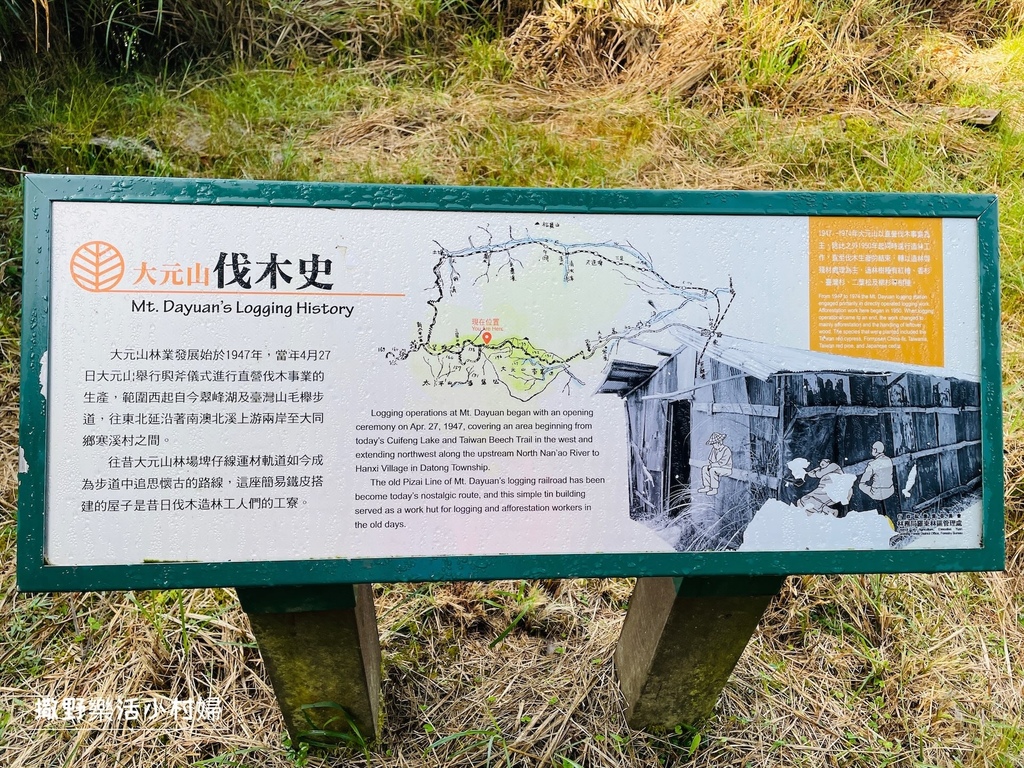 宜蘭景點》台灣山毛櫸國家步道｜走進太平山的檜木杉林裡，漫步在